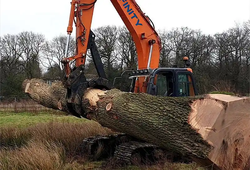 Спил деревьев и утилизация